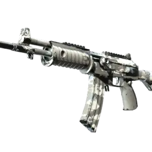Galil AR | Winter Forest (Well-Worn)