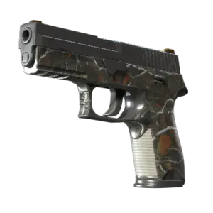 P250 | Small Game (Well-Worn)