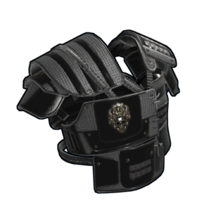 Black Diamond Roadsign Vest