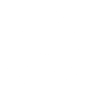 Holo Team Spirit Team Sticker - TI 2023