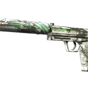 Souvenir USP-S | Road Rash (Well-Worn)