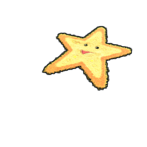 Starfish Rug