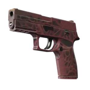 StatTrak™ P250 | Contaminant (Minimal Wear)