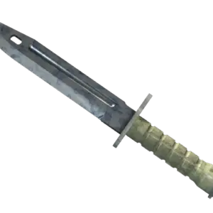 ★ Bayonet | Stained (Factory New)