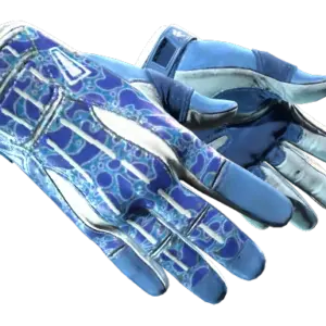 ★ Sport Gloves | Amphibious (Minimal Wear)