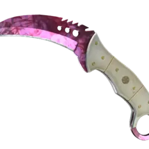 ★ Talon Knife | Doppler Phase 2 (Minimal Wear)