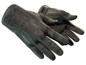 ★ Sport Gloves | Nocts (Factory New)