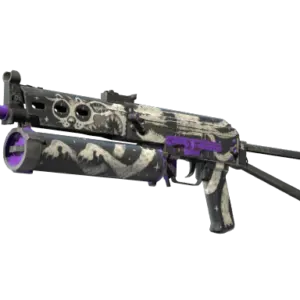 PP-Bizon | Space Cat (Well-Worn)