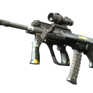 StatTrak™ AUG | Tom Cat (Minimal Wear)