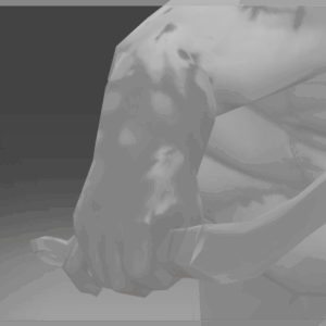 Autographed Pudge's Bare Arm