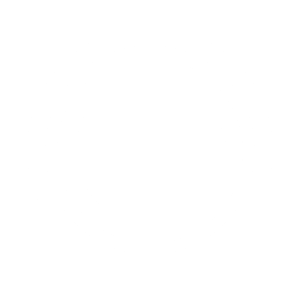Gold TSM Team Sticker - TI 2023