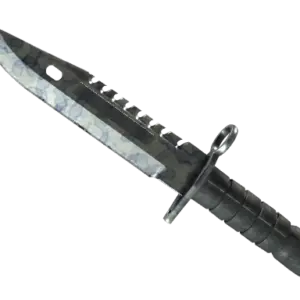★ M9 Bayonet | Stained (Field-Tested)