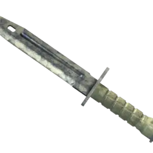 ★ StatTrak™ Bayonet | Stained (Battle-Scarred)