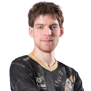 Gold Seleri Player Sticker - TI 2023