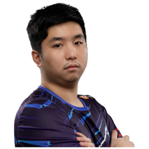 Gold 皮球 Player Sticker - TI 2022