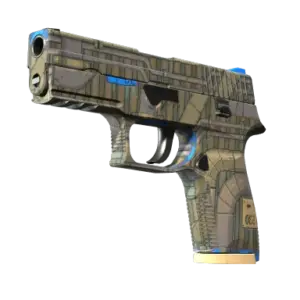 P250 | Exchanger (Minimal Wear)