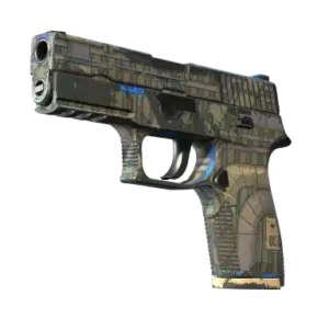 Souvenir P250 | Exchanger (Well-Worn)