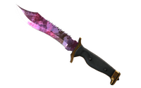 ★ Bowie Knife | Doppler (Minimal Wear)