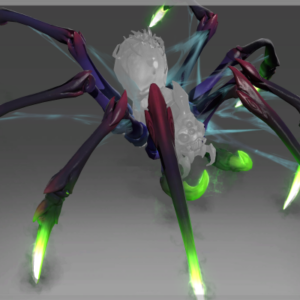 Autographed Limbs of Lycosidae