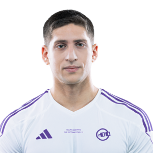 Gold Fly Player Sticker - TI 2024