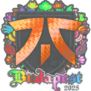 Sticker | fnatic (Holo) | Budapest 2025