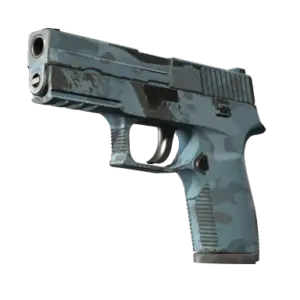 P250 | Forest Night (Well-Worn)