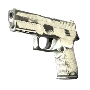 P250 | Whiteout (Battle-Scarred)