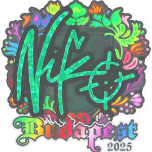 Sticker | NiKo (Holo) | Budapest 2025