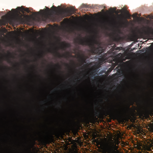 Team Wallpaper - Shopify Rebellion, Season 10, #1