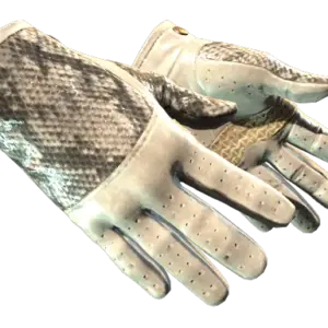 ★ Driver Gloves | King Snake (Minimal Wear)