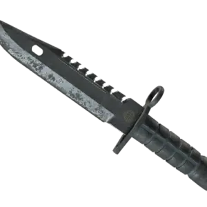 ★ M9 Bayonet | Night (Battle-Scarred)