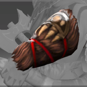 Bracers of the Wild Tamer