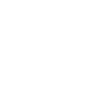 Gold Tundra Esports Team Sticker - TI 2024