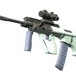 Souvenir AUG | Storm (Well-Worn)