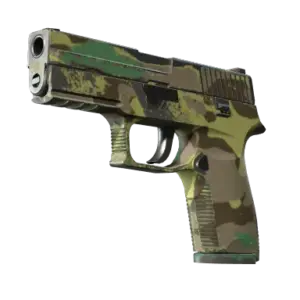 Souvenir P250 | Boreal Forest (Well-Worn)