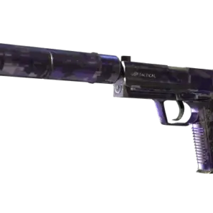Souvenir USP-S | Purple DDPAT (Well-Worn)