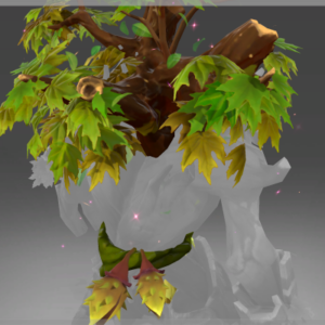 Autographed Stuntwood Sanctuary