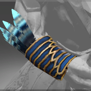 Frozen Nightwatcher's Bracers