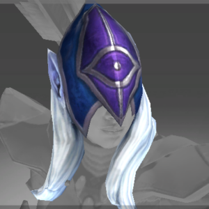 Genuine Hood of the Black Wind Raven