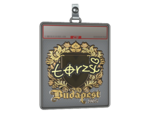 Sticker Slab | torzsi (Gold) | Budapest 2025