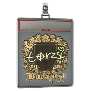 Sticker Slab | torzsi (Gold) | Budapest 2025