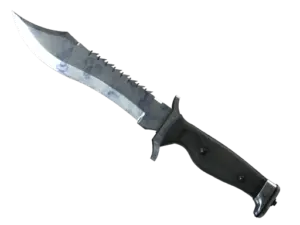 ★ Bowie Knife | Stained (Factory New)