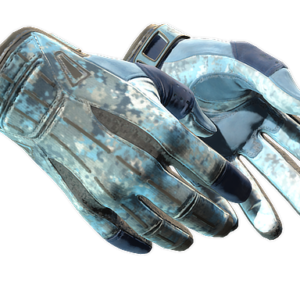 ★ Sport Gloves | Frosty (Minimal Wear)