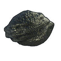 Dragon Egg