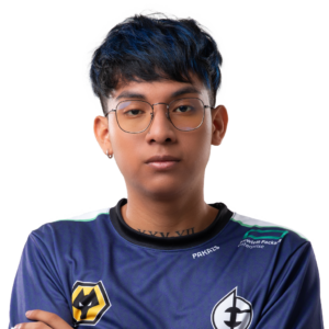 Gold Pakazs Player Sticker – TI 2023
