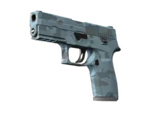 P250 | Forest Night (Minimal Wear)