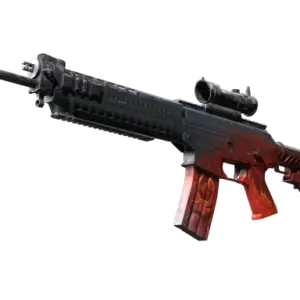 SG 553 | Darkwing (Well-Worn)