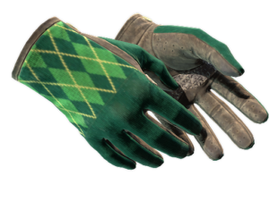 ★ Driver Gloves | Hand Sweaters (Field-Tested)
