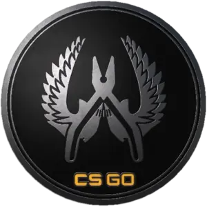 Guardian Elite Pin