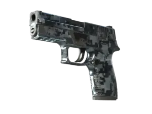 P250 | Steel Disruption (Field-Tested)